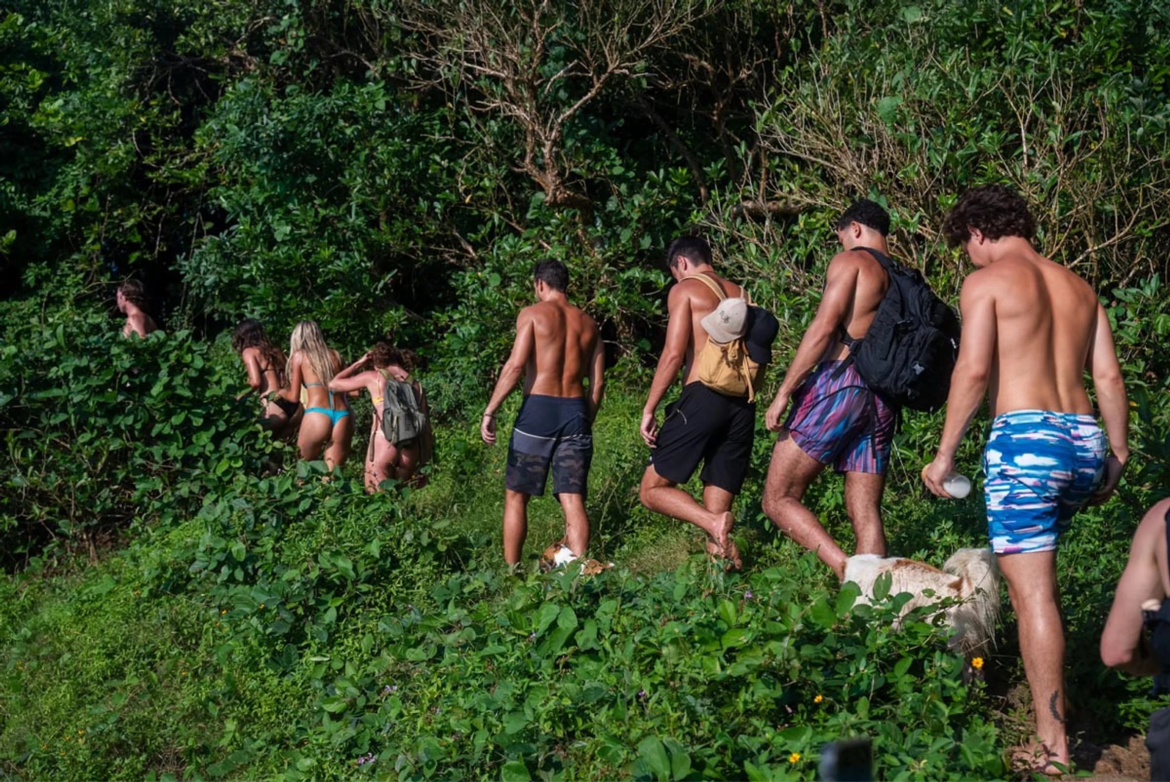 Bioculture guests walking together through dense jungle